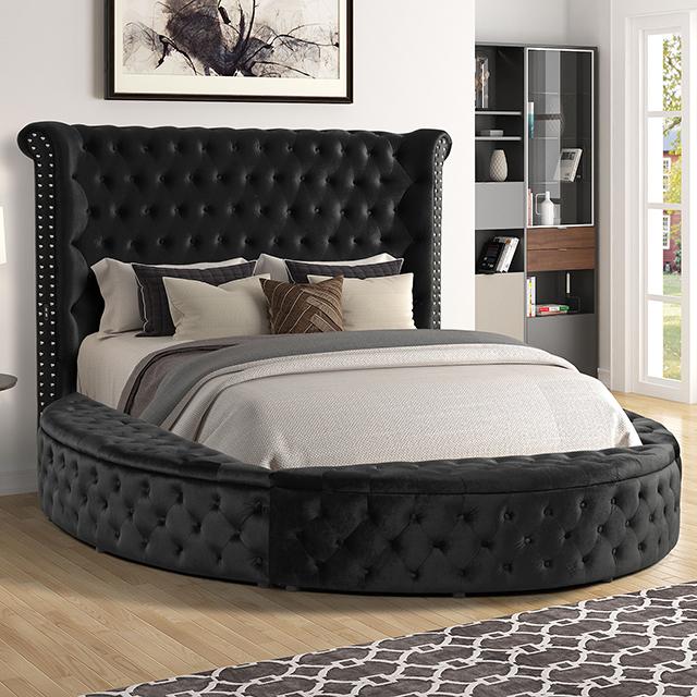 SANSOM Storage Bed